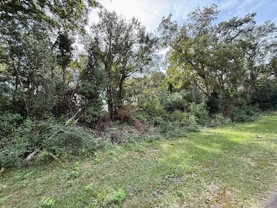 915 E Court St, Newton, TX 75966 - photo 2