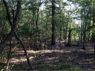 0 On Hwy 43 Hwy unit 687763, Siloam Springs, AR 72761 - photo 6