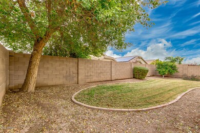 Mature Trees in Backyard