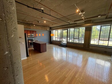 Liberty Lofts Condos unit 212, Ann Arbor, MI 48103 - photo 2