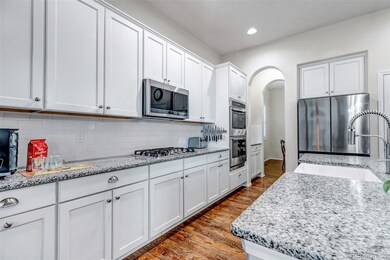 5420 Paddington Creek Place, Colorado Springs, CO 80924 - photo 5