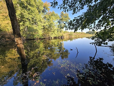 150th Street, Floris, IA 52560 - photo 3