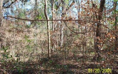 0 Central Terrace unit 69675, Fort White, FL 32030 - photo 3