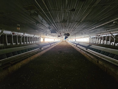 3176 Mountain View Rd, Junction, WV 26852 - photo 5