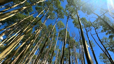 102 Cristinas Way unit 26, Telluride, CO 81435 - photo 5