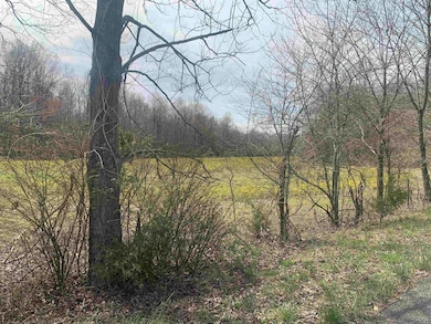 00 Works Rd, Crutchfield, KY 42041 - photo 5