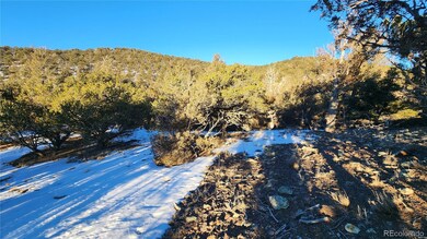 4480 Laidlaw Rd, Fort Garland, CO 81133 - photo 6