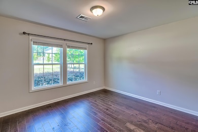 306 Dolly Horn Ln, Chapin, SC 29036 - photo 6