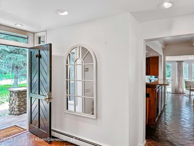 1425 Red Butte Dr, Aspen, CO 81611 - photo 4