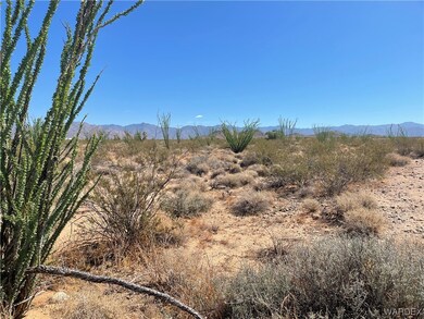 Desert Landscaping...