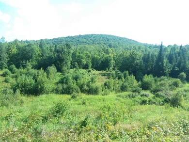 00 Garland Hill, Barnet, VT 05821 - photo 7