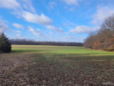 0 Bales Rd (81 8+ - Acres), Middletown, MO 63359 - photo 4