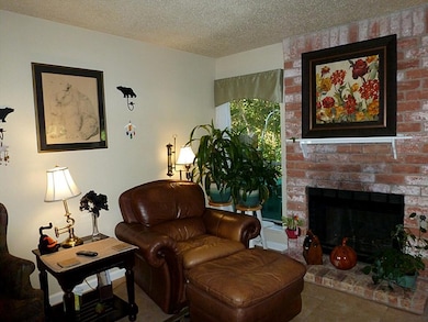 14 Blue Fox Ct, Spring, TX 77380 - photo 4