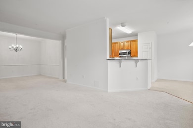 1014 Samantha Ln unit 102, Odenton, MD 21113 - photo 7