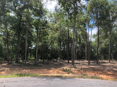 5.90ac Mill Creek Ln, Lucedale, MS 39452 - photo 5