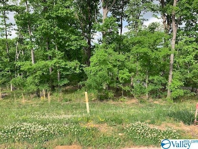 30 Watson Grande Way SE, Owens Cross Roads, AL 35763 - photo 2