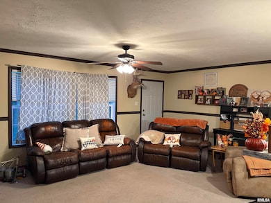 6874 White Walnut Rd, Pinckneyville, IL 62274 - photo 4