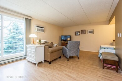 255 S West Ave unit 202, Elmhurst, IL 60126 - photo 5