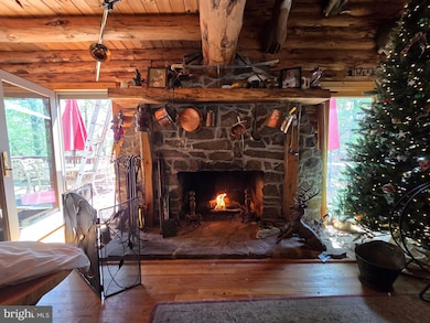 864 Choke Cherry Ln, Great Cacapon, WV 25422 - photo 5