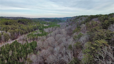 8648 Groundhog Rd, Adger, AL 35006 - photo 2