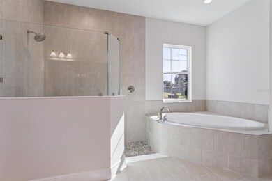 4538 Foley Grove Dr, Valrico, FL 33596 - photo 6