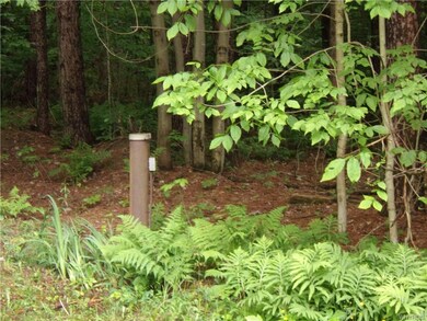 0 Scotch Blooming Hill Rd unit B1205066, Freedom, NY 14065 - photo 5