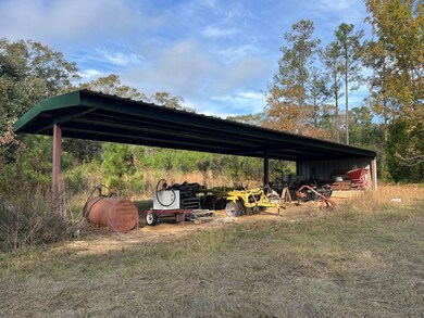 13962 State Highway 95 N, Abbeville, AL 36310 - photo 7