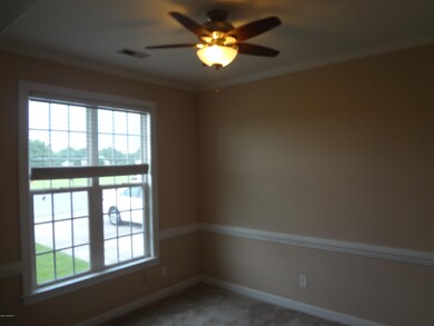 2501 Anton Ct, Winterville, NC 28590 - photo 4