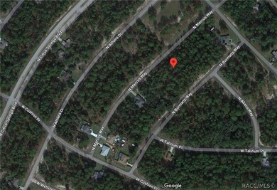 9161 N Marcus Way, Citrus Springs, FL 34433 - photo 6