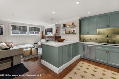 835 E Hyman Ave unit D, Aspen, CO 81611 - photo 5