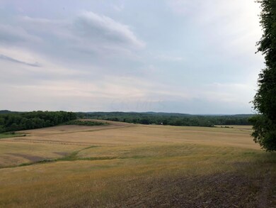 IMG_2523