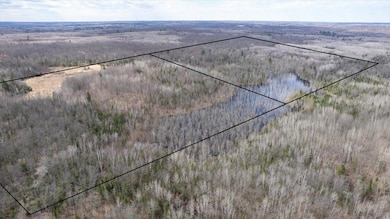 5600 Otto Rd, Oakland, WI 54874 - photo 3