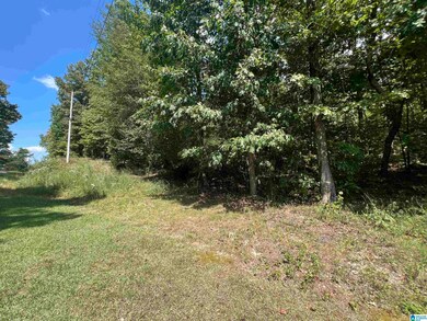 It is all wooded and no trails or roads just woode