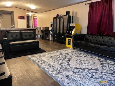 453 E Zipp Rd, New Braunfels, TX 78130 - photo 6