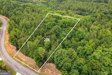 206 Crescent Dr, Forsyth, GA 31029 - photo 2