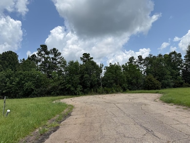 0 Bellewood Park, Columbia, MS 39429 - photo 5