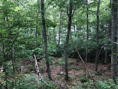 68 Campbell Pond Rd, West Bath, ME 04530 - photo 4