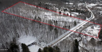 L3.7 Pine Swamp Rd, Tompkins, NY 13839 - photo 2