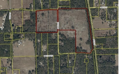 TBD Hawaca Dr, McAlpin, FL 32062 - photo 3