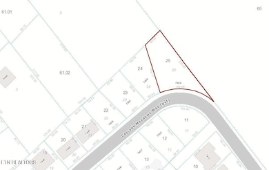 7424 Cascade Meadows Way, Knoxville, TN 37928 - photo 2