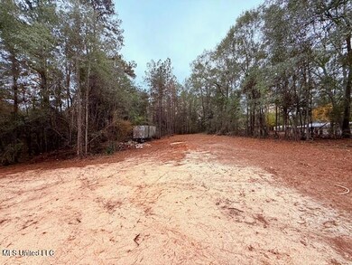 0 Cemetery Rd, Tylertown, MS 39667 - photo 4