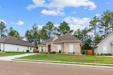 137 Herons Bay Cir, Madison, MS 39110 - photo 3