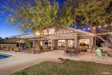 Terrific Backyard!