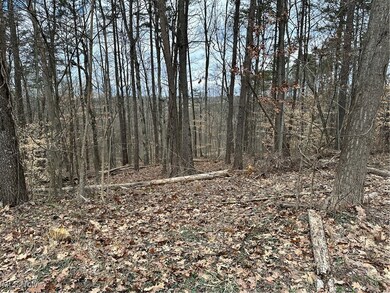 0 Fisher Ridge Rd, Barlow Township, OH 45729 - photo 5