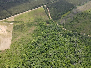 1331 Coal Bluff Rd, Lena, MS 39094 - photo 7