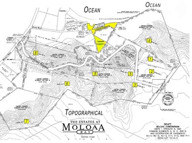 0 Moloaa Rd unit 663343, Anahola, HI 96703 - photo 2