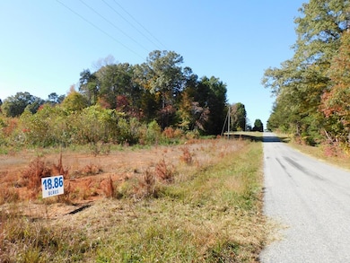 18.86 Ac Elkhorn Rd, Java, VA 24565 - photo 6