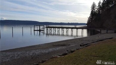 10109 Selma Cir, Anderson Island, WA 98303 - photo 3