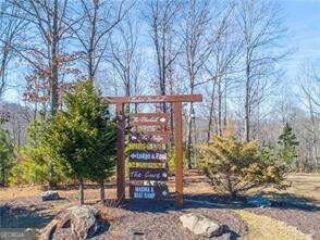 238 the Cove at Thirteen Hundred unit LOT 238, Blairsville, GA 30512 - photo 3