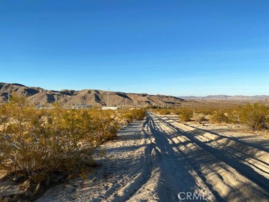0 Dorth Place unit 531328, 29 Palms, CA 92277 - photo 7